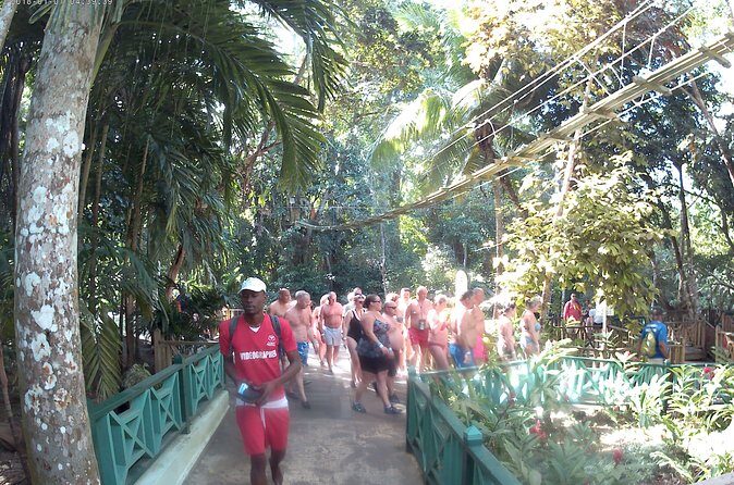 Zip Line over the Dunns River Falls - Private Tour Pros and the Stuff to Watch Closely