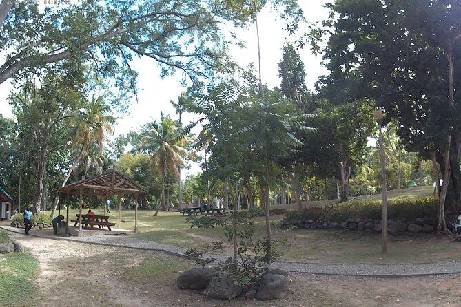 Zip Line over the Dunns River Falls - Who This Tour Fits Best (and Who Might Skip)
