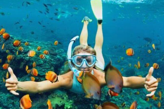 Zip-lining/Horseback Rides/Cat & Atv Inclusive Act with Transpo From Montego Bay - Who This Tour Fits Best (And Who Should Skip It)