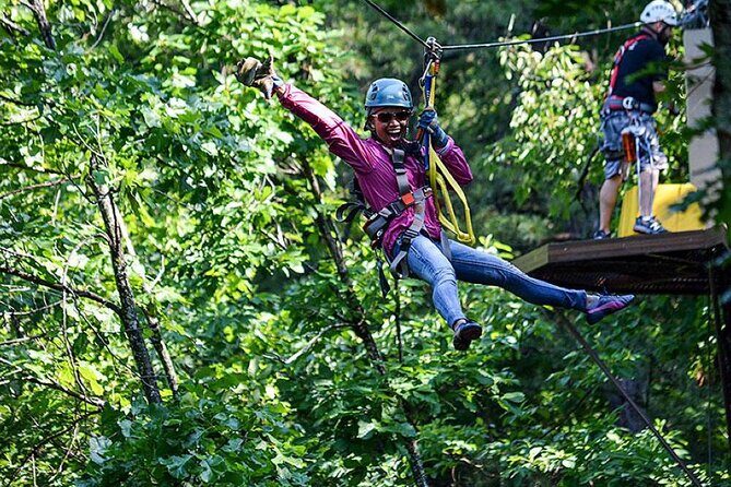 Zip-lining/Horseback Rides/Cat & Atv Inclusive Act with Transpo From Montego Bay - Ziplining: Adrenaline First, Then Pay Attention to Landing