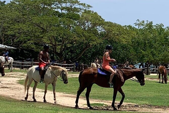 Zipline, Horseback Ride, ATV and Catamaran from Montego Bay - How the Day Flows: Zipline, ATV, Sea Horseback, Catamaran Party